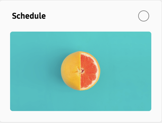 VXT Schedule dashboard start